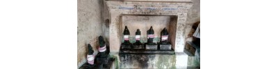 103. திருவிளநகர்